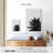 Harnek Agave Cactus BW-108397261