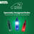 Tupkee Christmas Random Shimmering Twinkle Lights - 12 Of 100 Lights Twinkle, Indoor Outdoor, 20.5 Feet Light String, 100 Multi-Color Bulbs - Christmas Tree Holiday Decor Sparkling Twinkling Christmas Lights-121118804
