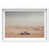White Shadowbox