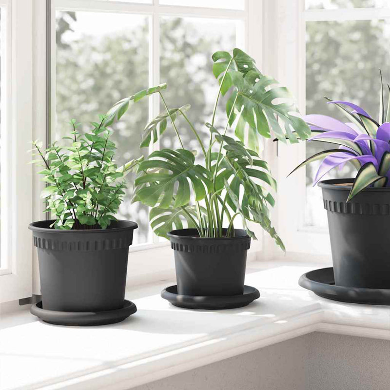 Pot Planter, 10cm H x 12.5cm W x 12.5cm D, Black