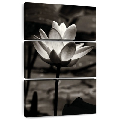 Fleur de lotus Harnek III