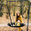AXI Swing Set Swing(s)