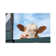 Peeking Cow by Clara Bastian - Print on Canvas