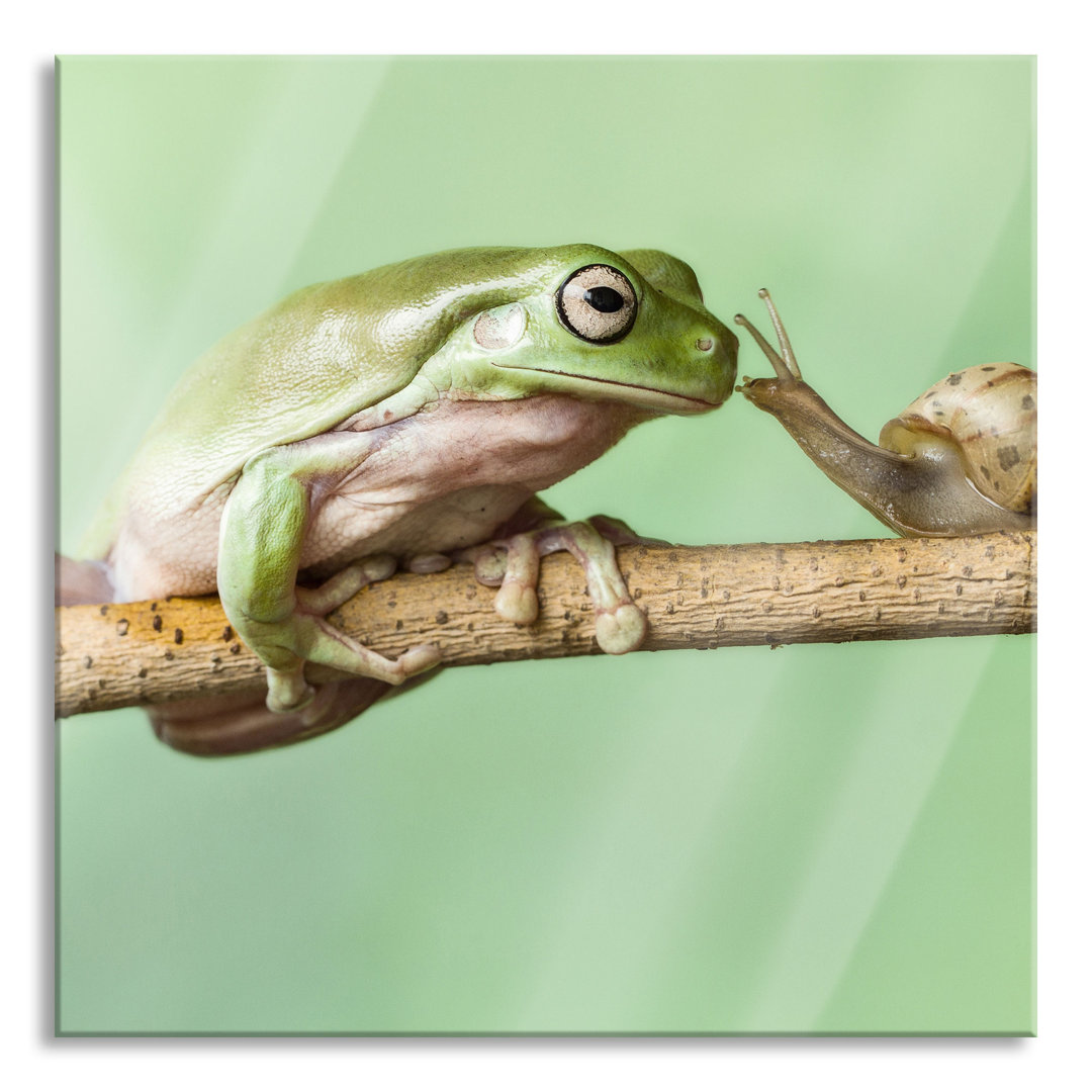 Glasbild Frosch und Schnecke