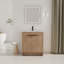 Meuble-lavabo autoportant avec lavabo et 2 portes d'armoire à fermeture en douceur-40814708