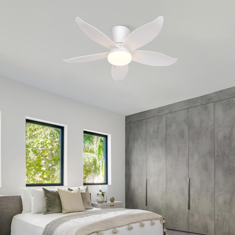 Ceiling Fan