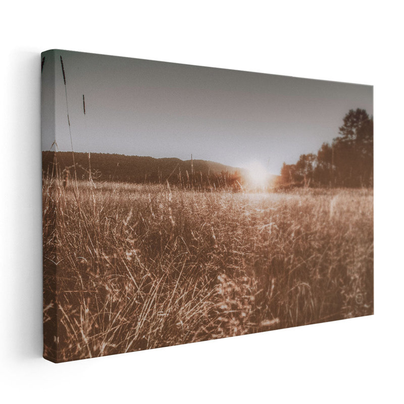 Fields of Gold - reproduction d'art sur toile, H 20 po x l 30 po