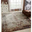 Ruppert Oriental Area Rug in Gray-1964738863