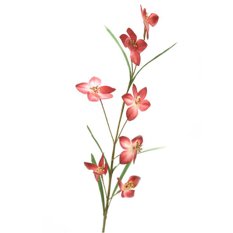 Arrangement