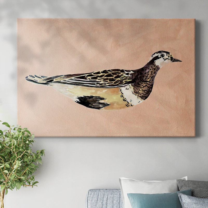 Toile tendue Feathered Friend IV-Gallery, H 12 po x l 18 po