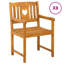 Outdoor Patio Dining Side Chair