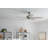 52'' Ceiling Fan-1187541457