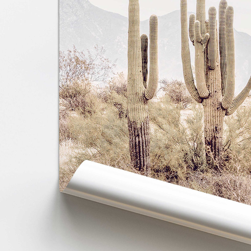 Cactus dans un refrain imprimé, H 10 po x l 8 po x P 0,1 po, Papier