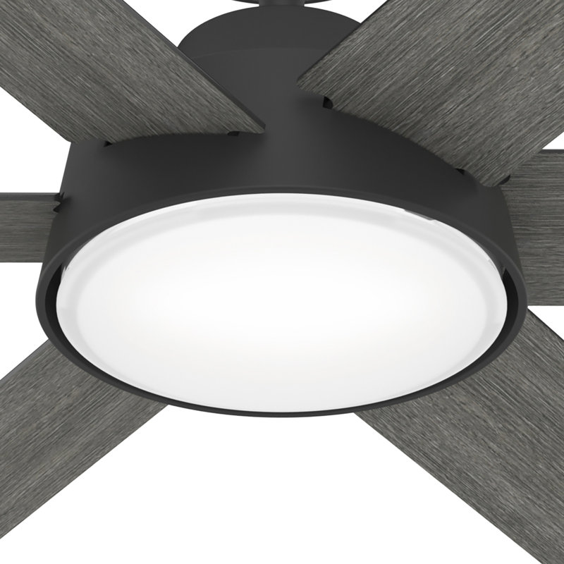 Donatella 52" 6 - Blade Ceiling Fan with Lights and Remote, Black