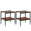 Tables d'appoint en verre trempé avec tablette Finkelstein-105688591-105688588