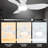 Eirena 45'' Ceiling Fan with LED Lights
