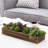 5'' Faux Succulent in Solid Wood Planter