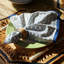 Newport 100% Cotton Square Napkins-1726803334
