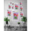 San Francisco Poppies - Single Picture Frame Print-1771055577