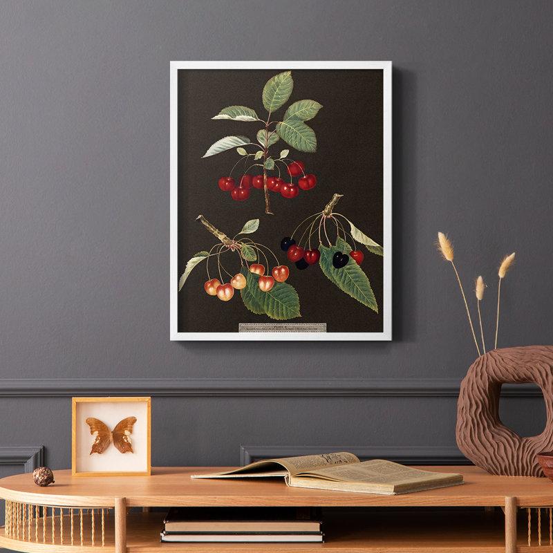 Brookshaw Cherries, reproduction encadrée - bois massif, H 28 po x l 22 po, Blanc