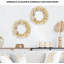 Couronne coquille 19 po