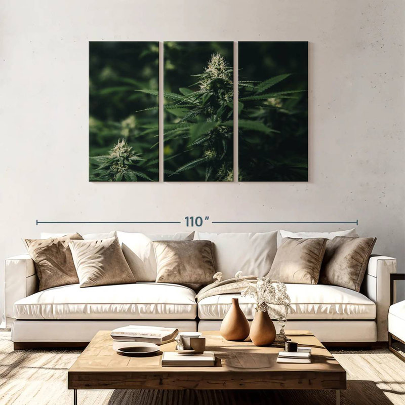 Marijuana fraîche Harnek, H 48 po x l 74 po