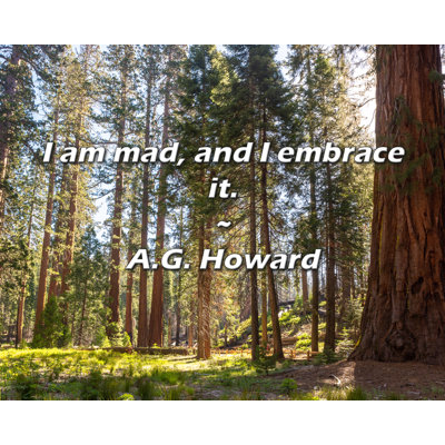A.G. Howard Quote: I am mad, and I embrace it.
