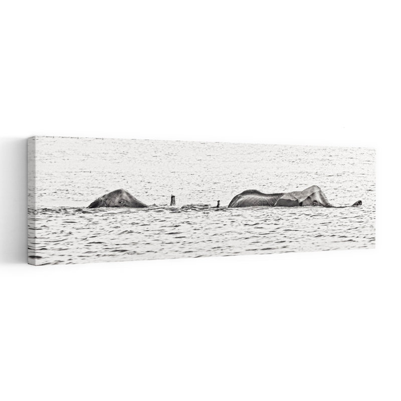 Wild Elephants Swimming by Piet Flour - Wrapped Canvas Panoramic Print, 91.44 cm H x 30.48 cm W