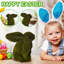 Herbe, Pâques, peluche, lapin floqué, miniatures, debout, jardin de mousse-382210431-382210429