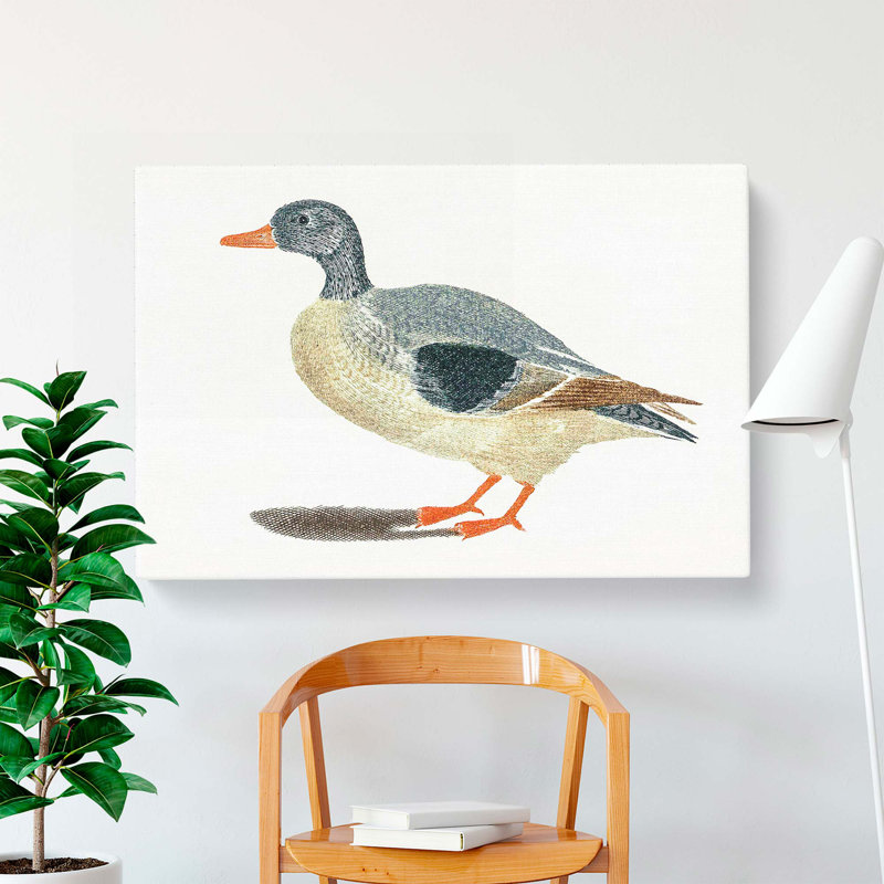 Duck by Johan Teyler - Wrapped Canvas, 35cm H x 50cm W x 3cm D