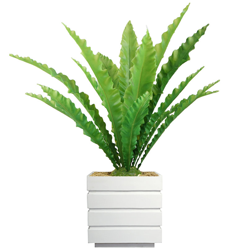 Plante grasse artificielle Bragdon en pot