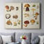 Toile tendue avec champignon I-Premium Gallery - prêt à être accroché