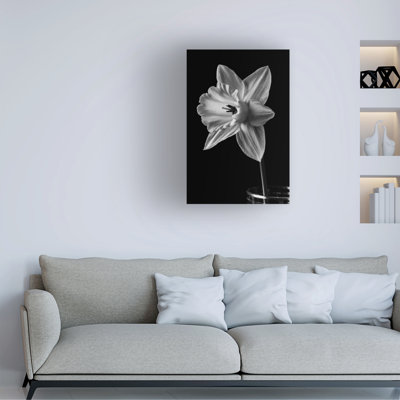 Contemporary