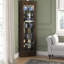 Vitrine lumineuse Delorenzo-587568503
