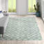 Tapis vert foncé / ivoire touffeté à la main Demetrius-164089831