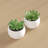 3'' Faux Succulent in Ceramic Pot