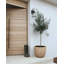 Pot Planter-923022648