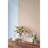 Vases - Set of 2 - Clear