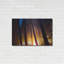 «Burning Forest» par Thomas Haney-408151161