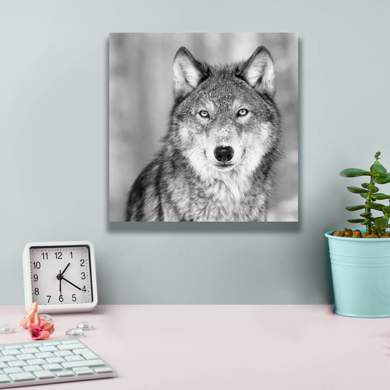 «Wolf» par PhotoINC Studio, H 12 po x l 12 po x P 0,75 po