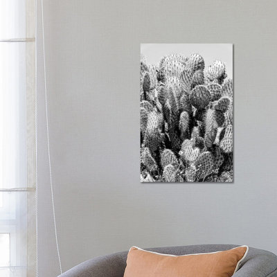 Cactus Stings by Philippe Hugonnard - Wrapped Canvas Print
