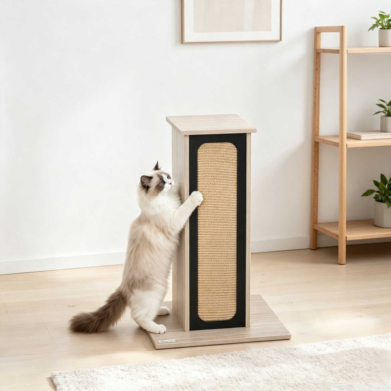 Scratching Post