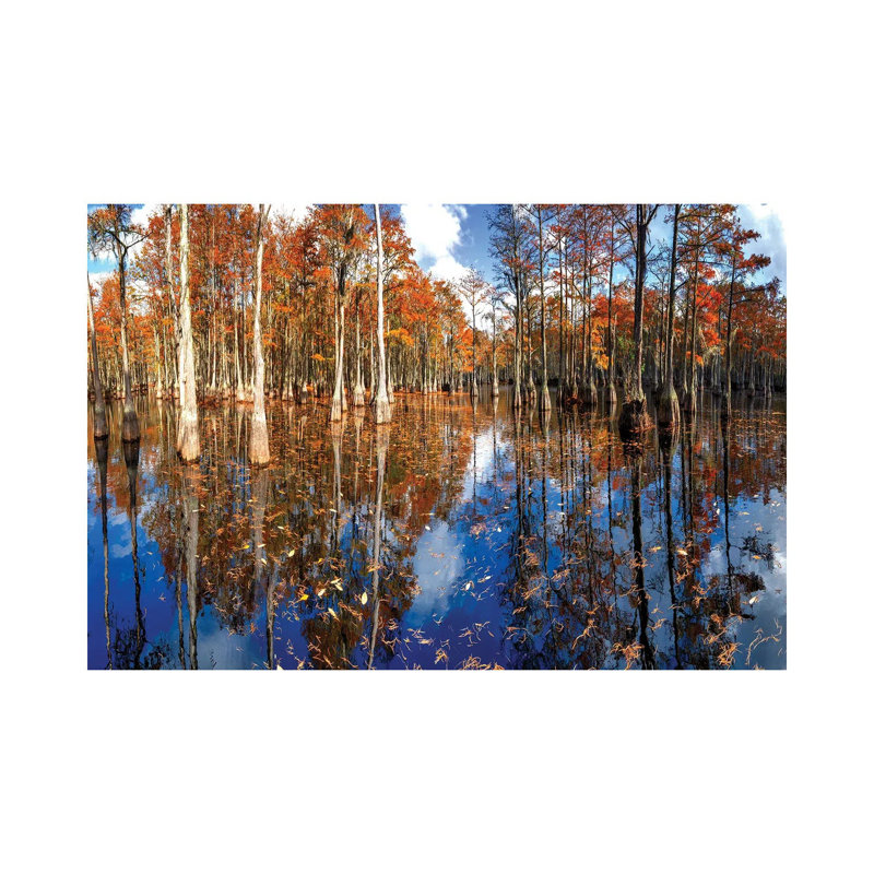 Cypress Swamp George L. Smith State Park, Georgia by OLena Art - Wrapped Canvas Print, 20.32 cm H x 30.48 cm W