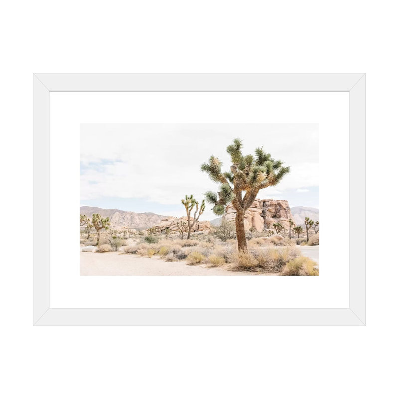 Joshua Tree, Mohave Desert - Print, 24" H x 32" W x 1" D, White Framed Fine Art Paper