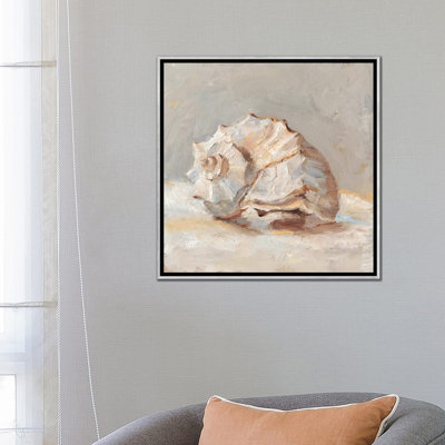" Impressionist Shell Study II " Painting