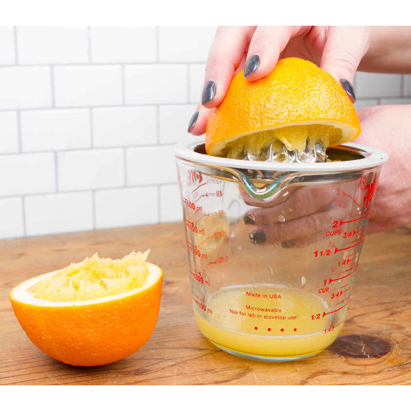 Stainless Steel Citrus Juicer with Silicone Rim, 8-inch