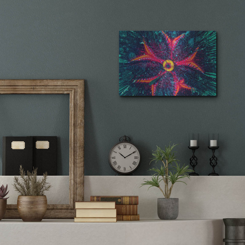 «Sea Urchin Underwater», mur en métal, H 12 po x l 16 po