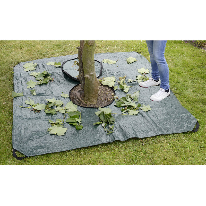 Ailan Plant Stand