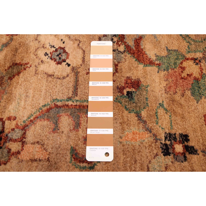 Finest Agra Jaipur Brown Rug 8'0" x 10'1"