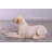 Tan Laying Labrador Life Size Statue